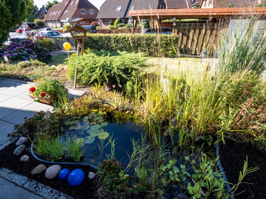 Teich Einfamilienhaus Hammoor