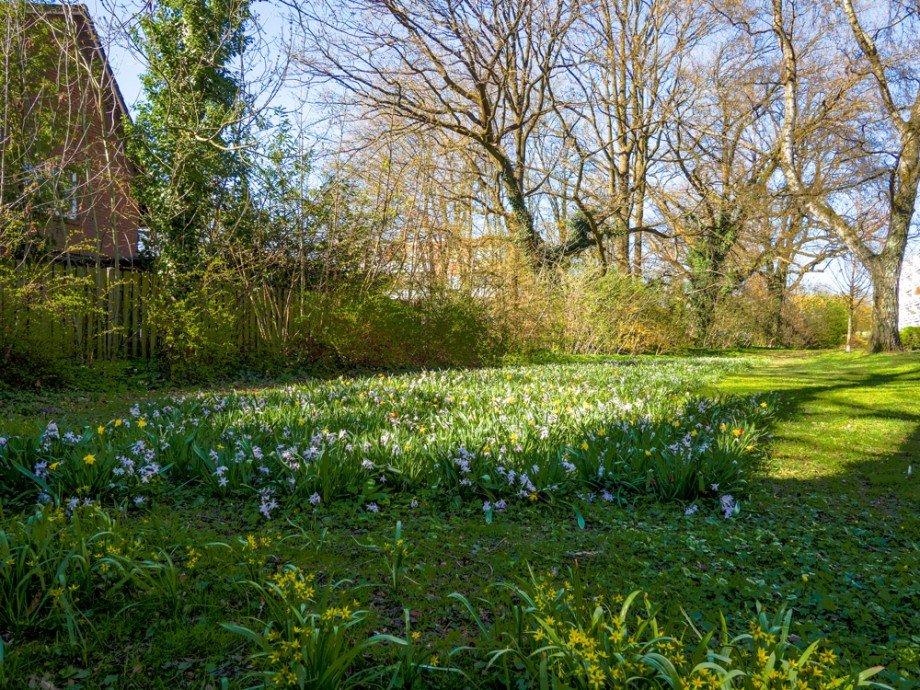 Umgebung Blumenwiese Etagenwohnung Bargteheide