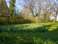 Bild (4cf7d84004d5789aa3f4c7277866b1fd): SOFORT FREI! 2 ZI.-WOHNUNG MIT FAHRSTUHL UND GR�NEM AUSBLICK IM 1.OG!