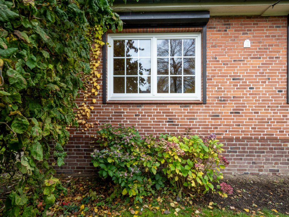 Fenster Doppelhaush�lfte Jersbek