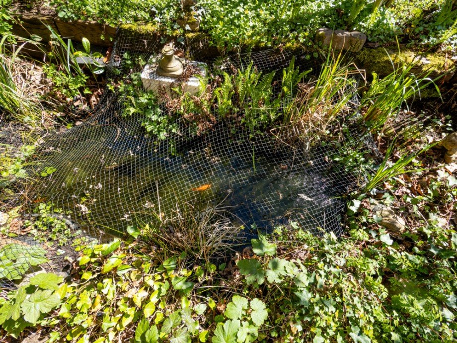 Teich Reihenhaus Bargteheide